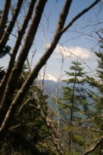 樹間中央に黒くそびえる槍が岳が映ってます。